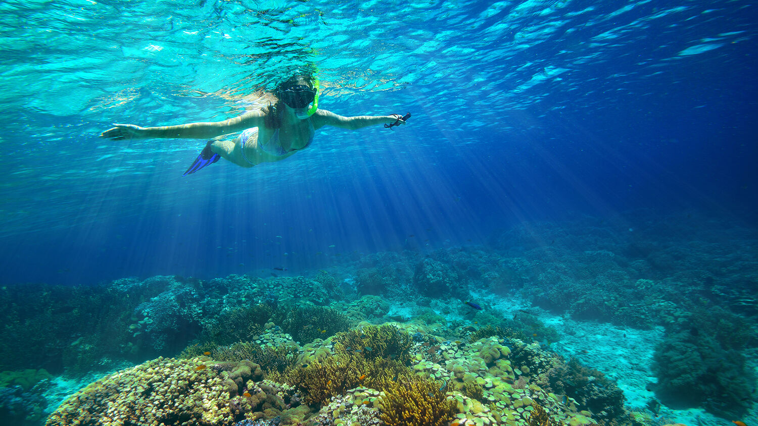 Women snorkeling in the ocean