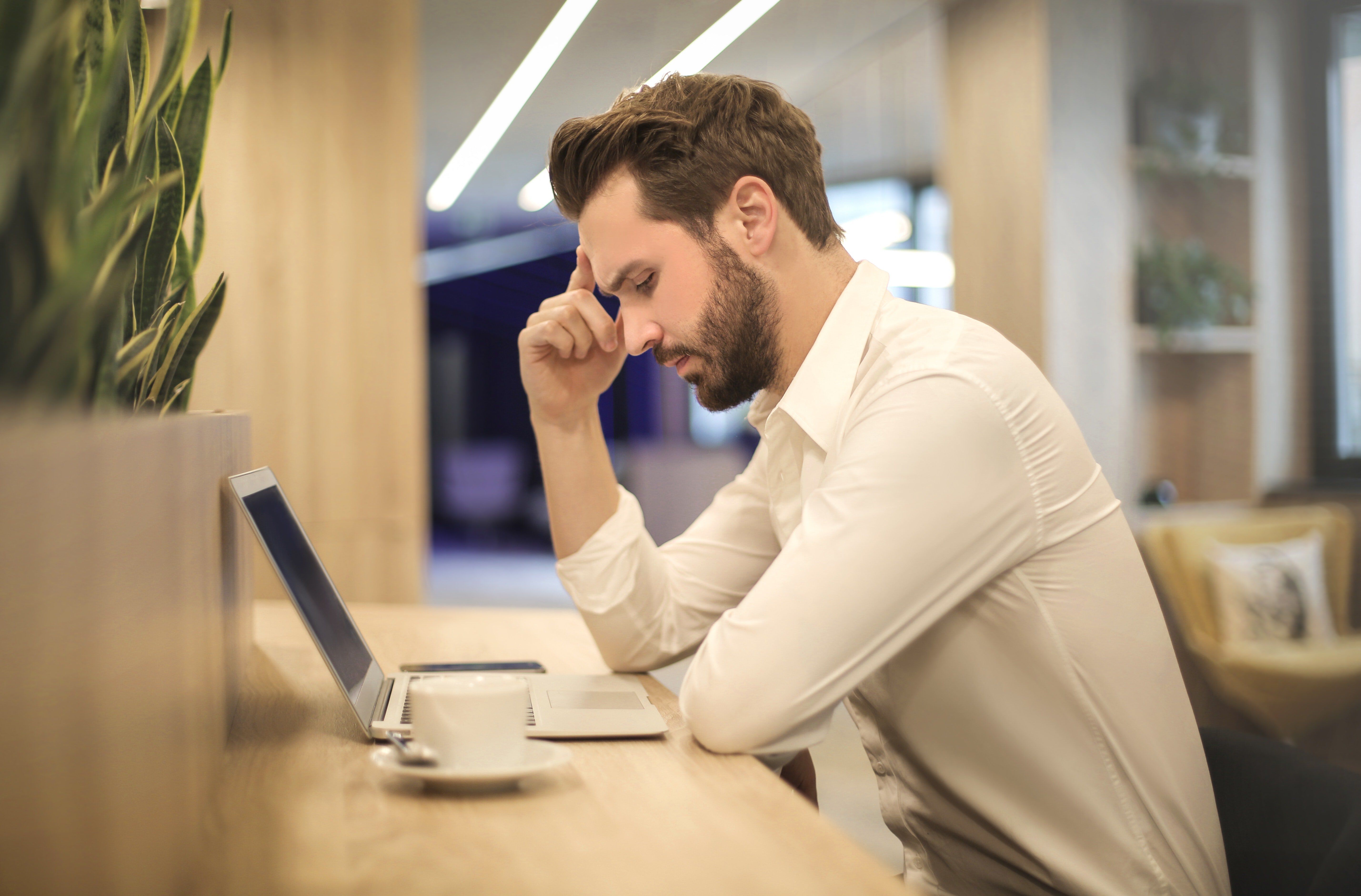 person looking at a computer person looking at a computer