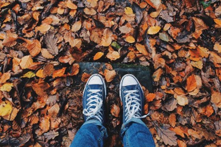 person standing in leaves