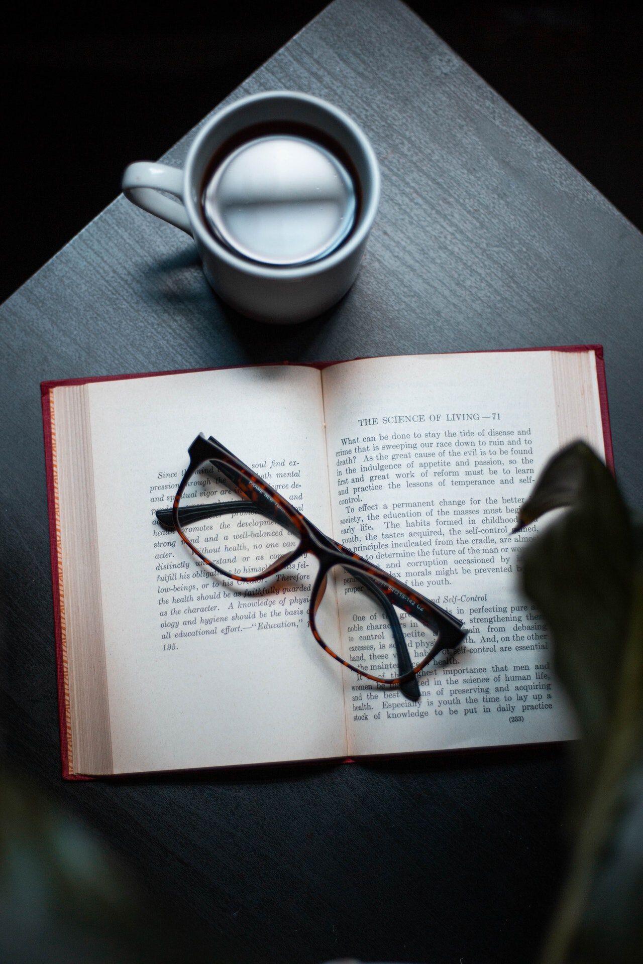 prescription or reading eyeglasses understanding the difference