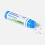 Boiron Allergy Relief Histaminum, 3 pk., 80 Pellets ea., , large image number 4