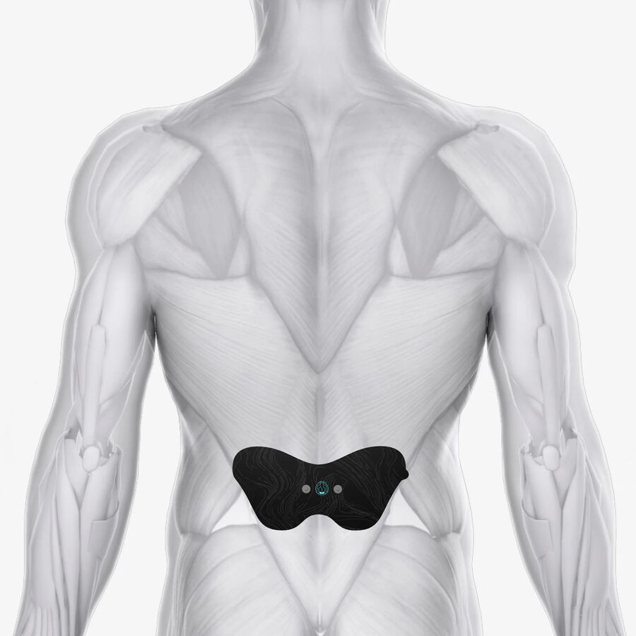 Chirp Halo Lower Back Pad, 2-Pack, , large image number 3