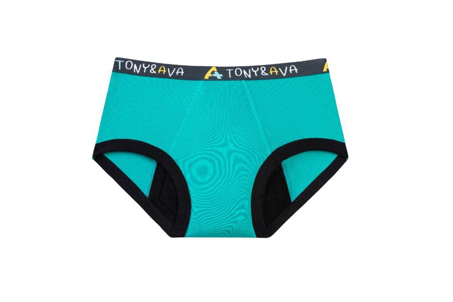 Tony and Ava Incontinence Underwear, Highly Absorbent, Machine Washable, Snug Bikini Girls, , large image number 1