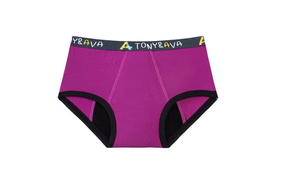 Tony and Ava Incontinence Underwear, Highly Absorbent, Machine Washable, Snug Bikini Girls, , large image number 0