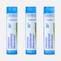 Boiron Allergy Relief Histaminum, 3 pk., 80 Pellets ea., , large image number 2