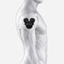Chirp Halo Shoulder TENS Replacement Pad 2-Pack, , large image number 2