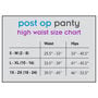 UpSpring Post Op Panty High Waist Compression, Nude, , large image number 4